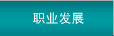 職業(yè)發(fā)展