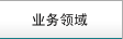 業(yè)務(wù)領(lǐng)域