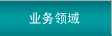 業務領域