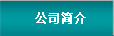 公司簡介